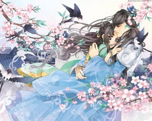 五一每日大赛网页版在线观看